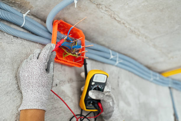 Best Electrical System Inspection  in Kualapuu, HI